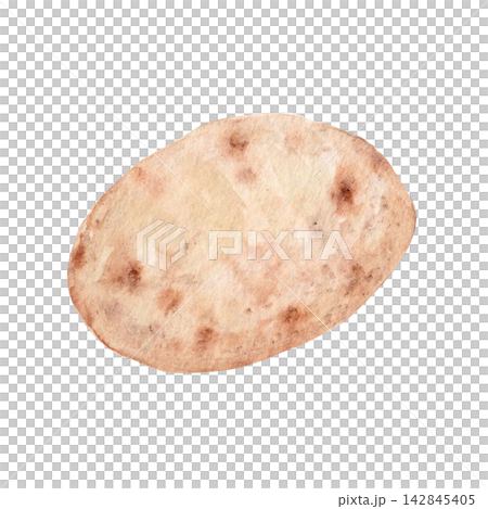 Whole potato with natural brown skin texture isolated on white. Hand painted vegetable watercolor illustration ideal for food packaging, cookbook, menu, recipe card, grocery branding, culinary design Whole potato with natural brown skin texture isolated on white. Hand painted vegetable watercolor illustration ideal for food packaging, cookbook, menu, recipe card, grocery branding, culinary design 142845405