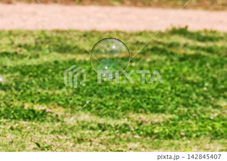 新緑の芝生広場に浮かぶ透明なシャボン玉(東高根森林公園) 新緑の芝生広場に浮かぶ透明なシャボン玉(東高根森林公園) 142845407