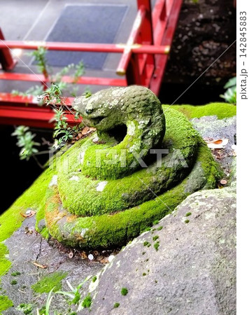 熱海・來宮神社の來宮辨財天にある蛇の石像 熱海・來宮神社の來宮辨財天にある蛇の石像 142845883