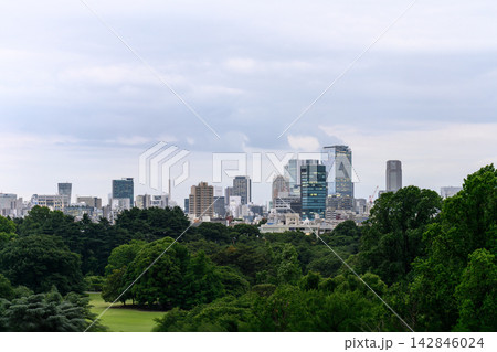 緑豊かな森と近代的なビル群が広がる都市の風景 142846024