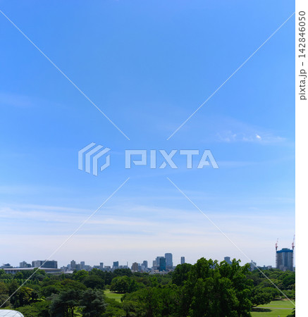 緑豊かな公園と高層ビル群のコントラスト 142846050