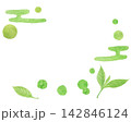 水彩絵の具で描いた抽象的な抹茶のイメージ 142846124