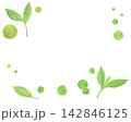 水彩絵の具で描いた抽象的な抹茶のイメージ 142846125