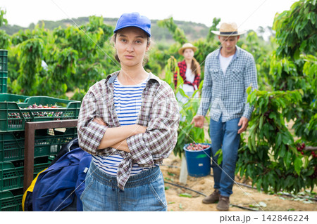 Female farmer standing in orchard harvest of sweet cherries Female farmer standing in orchard harvest of sweet cherries 142846224