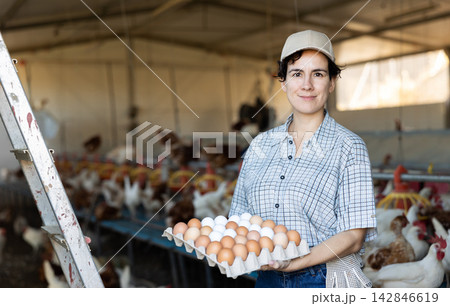 Latin female farmer in plaid shirt holding special tray of organic harvested chicken eggs and smiling at camera in henhouse Latin female farmer in plaid shirt holding special tray of organic harvested chicken eggs and smiling at camera in henhouse 142846619