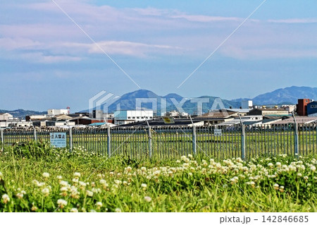 八尾空港の敷地越しに望む二上山とシロツメクサの風景 142846685