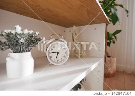 Clock and plant on a shelf in a bright indoor space 142847164