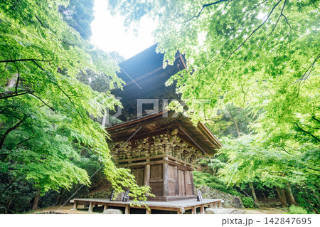 【滋賀県東近江市】金剛輪寺 新緑と三重塔 【滋賀県東近江市】金剛輪寺 新緑と三重塔 142847695