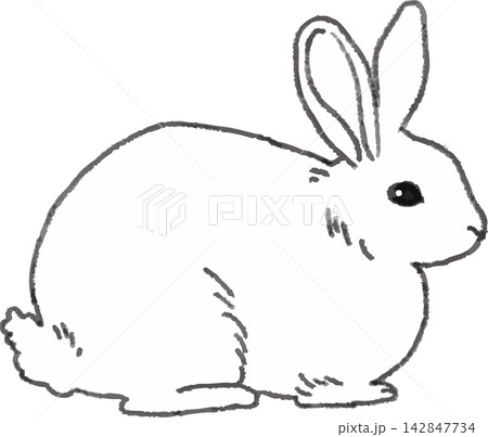 うさぎの線画イラスト 手書き風デフォルメ（小動物・ペット・モノクロ） 142847734