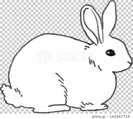 Rabbit line art illustration, hand-drawn style, stylized (small animal, pet, monochrome) Rabbit line art illustration, hand-drawn style, stylized (small animal, pet, monochrome) 142847734