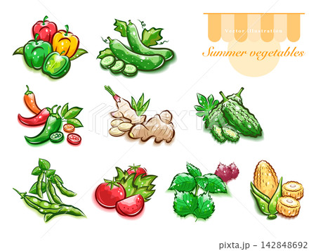 色々な夏野菜のイラストセット|可愛いポップアートなベクター素材 色々な夏野菜のイラストセット|可愛いポップアートなベクター素材 142848692