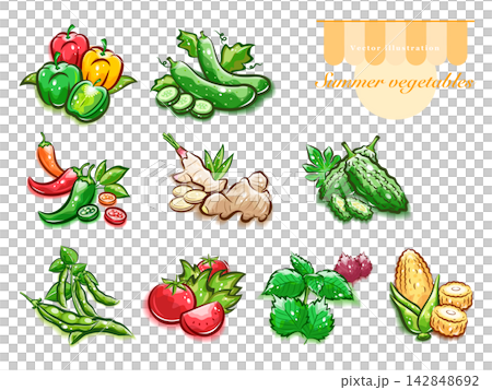 色々な夏野菜のイラストセット|可愛いポップアートなベクター素材 色々な夏野菜のイラストセット|可愛いポップアートなベクター素材 142848692