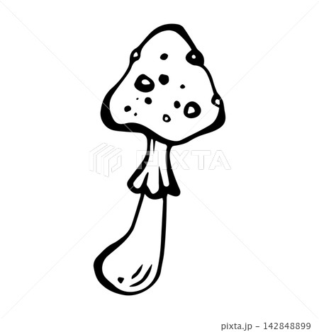 Fly agaric mushroom. Isolated vector EPS amanita. Graphic illustration hand drawn in black ink. Cottagecore, doodle. Outline sketch fungus for coloring, cozy autumn vibes and fall forest. Line art. 142848899