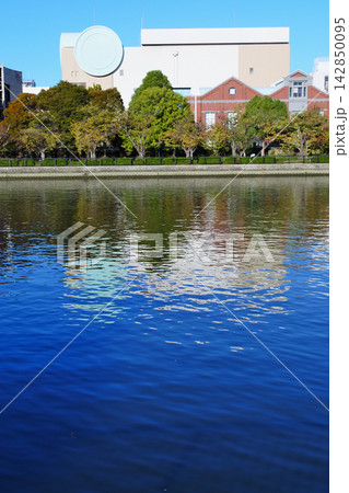 淀川河川公園の秋の情景 大阪造幣局 淀川河川公園の秋の情景 大阪造幣局 142850095