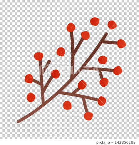 紅色水果的插圖 142850208