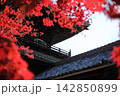 寺院の山門と境内の紅葉　 142850899