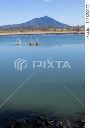 母子島遊水池と筑波山 142850997