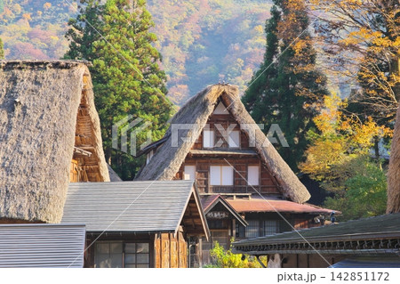 五箇山 相倉集落の合掌造り 五箇山 相倉集落の合掌造り 142851172