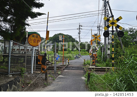 警報機や「とまれ」の標識が並ぶローカル線の踏切と緑豊かな夏の風景 142851453