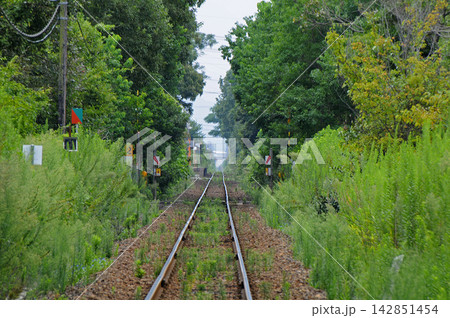 緑の木々に囲まれた線路と奥へ続く単線の風景、ローカル線の旅情あふれる景色 緑の木々に囲まれた線路と奥へ続く単線の風景、ローカル線の旅情あふれる景色 142851454