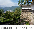 郡上八幡城からの景色 142851490