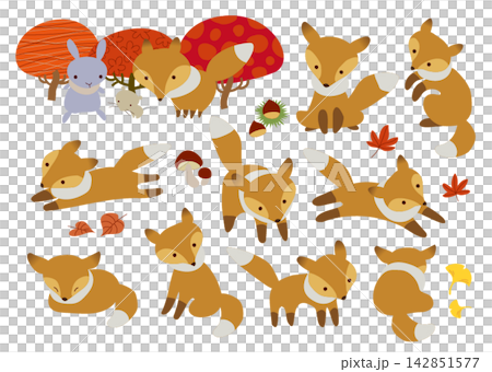 A set of cute animal illustrations featuring a fox playing in an autumn forest and autumn leaves. A set of cute animal illustrations featuring a fox playing in an autumn forest and autumn leaves. 142851577