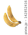 Two spotted bananas 142852416