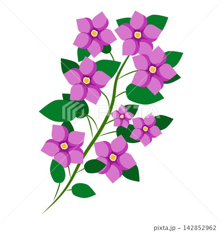 Delicate Floral Arrangement with Vibrant Purple Flowers and Lush Green Leaves 142852962