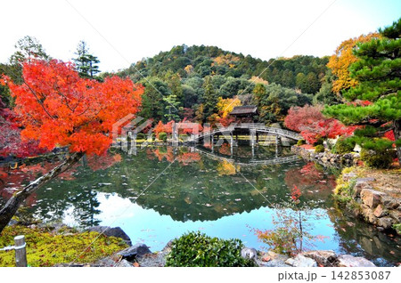 岐阜多治見の虎渓山永保寺の紅葉風景 142853087