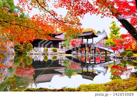 真っ赤な紅葉と池に映る橋 真っ赤な紅葉と池に映る橋 142853089