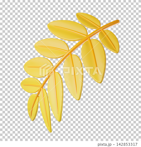 Stylized yellow Rowan leaf branch with multiple leaflets on an orange stem. Vivid decorative icon for autumn, nature, branding, and product photography. Stylized yellow Rowan leaf branch with multiple leaflets on an orange stem. Vivid decorative icon for autumn, nature, branding, and product photography. 142853317