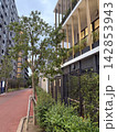 都市住宅地の植栽と歩道 142853943