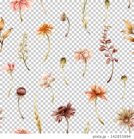 Autumn flower Seamless Pattern Dahlia Chrysanthemum Aster Echinacea wildflowers. Watercolor hand drawn floral illustration isolated on white background for wedding design home textile cosmetic package Autumn flower Seamless Pattern Dahlia Chrysanthemum Aster Echinacea wildflowers. Watercolor hand drawn floral illustration isolated on white background for wedding design home textile cosmetic package 142853994