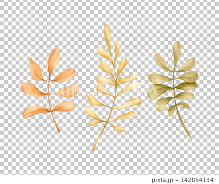 Cute Rowan leaves. Autumn plants Watercolor hand drawn floral illustration isolated on white background orange yellow green pastel for fall design home textile cozy prints porcelain crockery package 142854134