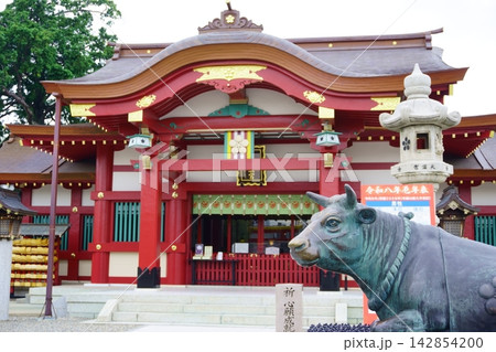 名古屋三大天神 上野天満宮 拝殿と撫で牛 神玉巡行 名古屋三大天神 上野天満宮 拝殿と撫で牛 神玉巡行 142854200