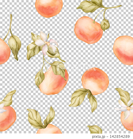 Grapefruit citrus fruit seamless pattern. Watercolor hand drawn floral food illustration isolated on white background summer design home kitchen textile fresh print cosmetic package crockery banner Grapefruit citrus fruit seamless pattern. Watercolor hand drawn floral food illustration isolated on white background summer design home kitchen textile fresh print cosmetic package crockery banner 142854289