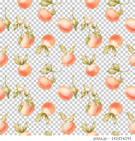 Grapefruit citrus fruit seamless pattern. Watercolor hand drawn floral food illustration isolated on white background summer design home kitchen textile fresh print cosmetic package crockery banner Grapefruit citrus fruit seamless pattern. Watercolor hand drawn floral food illustration isolated on white background summer design home kitchen textile fresh print cosmetic package crockery banner 142854291