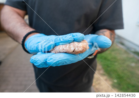 Raw meat patty placed on hot grill with gloved hand. Outdoor BBQ cooking 142854430