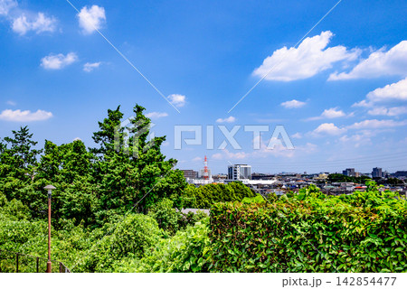 高台から見た市街地の風景 142854477