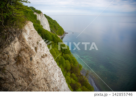 View of famous white chalk cliffs in Jasmund National Park on Rugen island, Germany. Scenic Baltic Sea coastline from forest trail 142855746