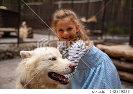 Young girl petting and hugging Siberian Husky dog outdoors. Child interaction with animal represents friendship, affection and emotional bond with pets Young girl petting and hugging Siberian Husky dog outdoors. Child interaction with animal represents friendship, affection and emotional bond with pets 142859228