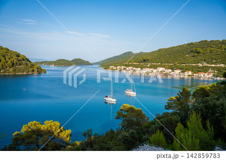 Panoramic view of Polace village on Mljet Island Croatia overlooking the Adriatic Sea. Peaceful Mediterranean coastal destination with anchored sailboats. 142859783