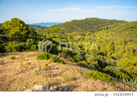 Panoramic view from the mountain pass above Mljet National Park on Mljet Island Croatia. Mediterranean forest landscape and protected nature. Panoramic view from the mountain pass above Mljet National Park on Mljet Island Croatia. Mediterranean forest landscape and protected nature. 142859953