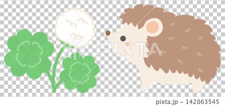 A cute illustration of a four-leaf clover and a hedgehog. A cute illustration of a four-leaf clover and a hedgehog. 142863545