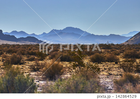 Mojave Desert Shrubs with Layered Mountains under Clear California Sky Mojave Desert Shrubs with Layered Mountains under Clear California Sky 142864529