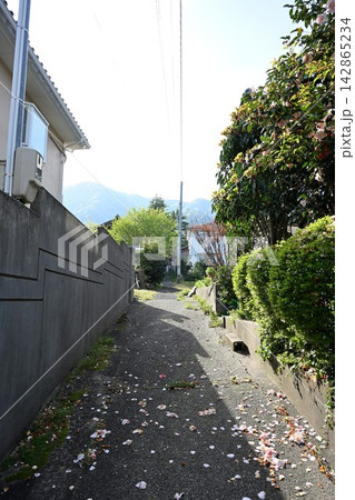 新緑の弥彦を歩く街歩きの風景(新潟県弥彦村) 新緑の弥彦を歩く街歩きの風景(新潟県弥彦村) 142865234