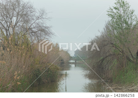Tranquil river scene with bare trees Tranquil river scene with bare trees 142866258