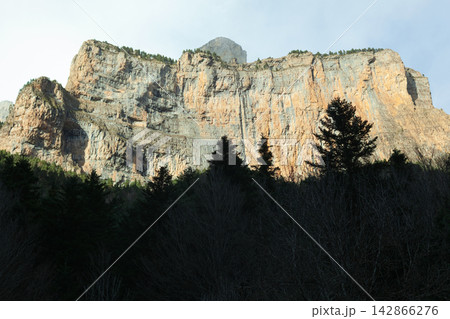 Tall rocky mountain with forest 142866276