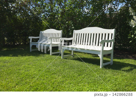 Elegant white wooden benches standing on green grassy lawn in summer garden. Luxury backyard relaxation zone surrounded by high green bushes and blue sky. Beautiful outdoor seating area for romantic. 142866288