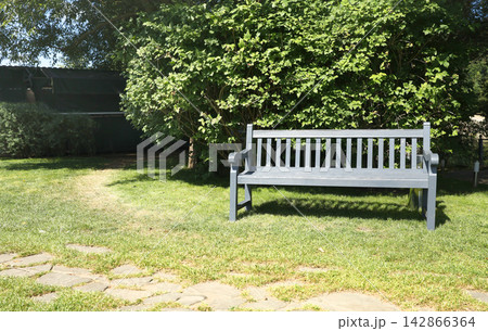 Wooden bench under shady green tree. Cozy sustainable backyard patio seating area design. Peaceful summer park garden nature background. Wooden bench under shady green tree. Cozy sustainable backyard patio seating area design. Peaceful summer park garden nature background. 142866364